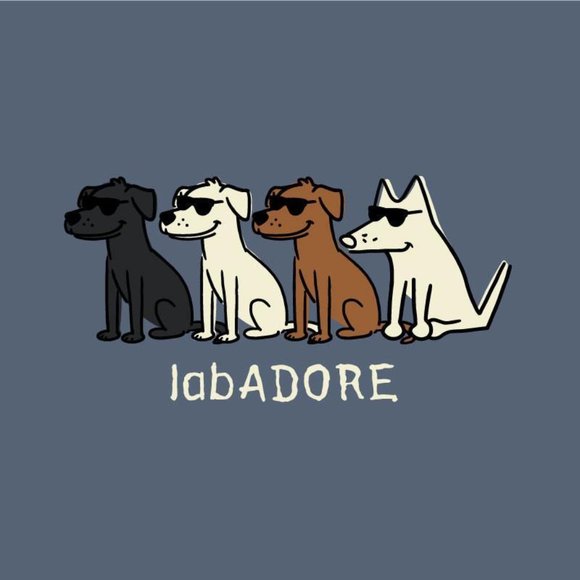 LabADORE Unisex Small or Large Denim Blue Classic Crewneck Short Sleeve NWT - Picture 2 of 3